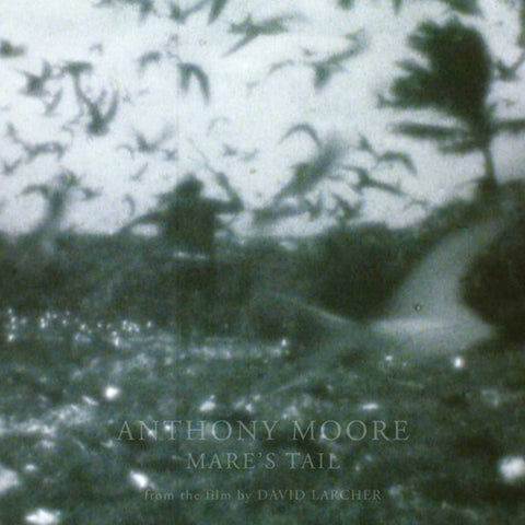 Anthony Moore - Mare's Tail LP